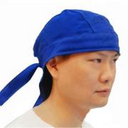 ����AP-6610�{ɫ��ȼ����ñ