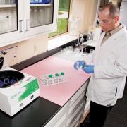 NewPig���ͻ��W(xu��)���Չ|MAT309 1���b