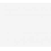 MSA 10042621 �ɘ�̽�U(1Ӣ��)