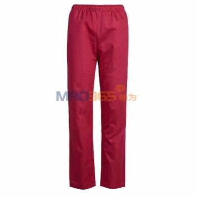 ���Z 09SS009 ���g��-