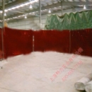 �tɫ���ӓ���